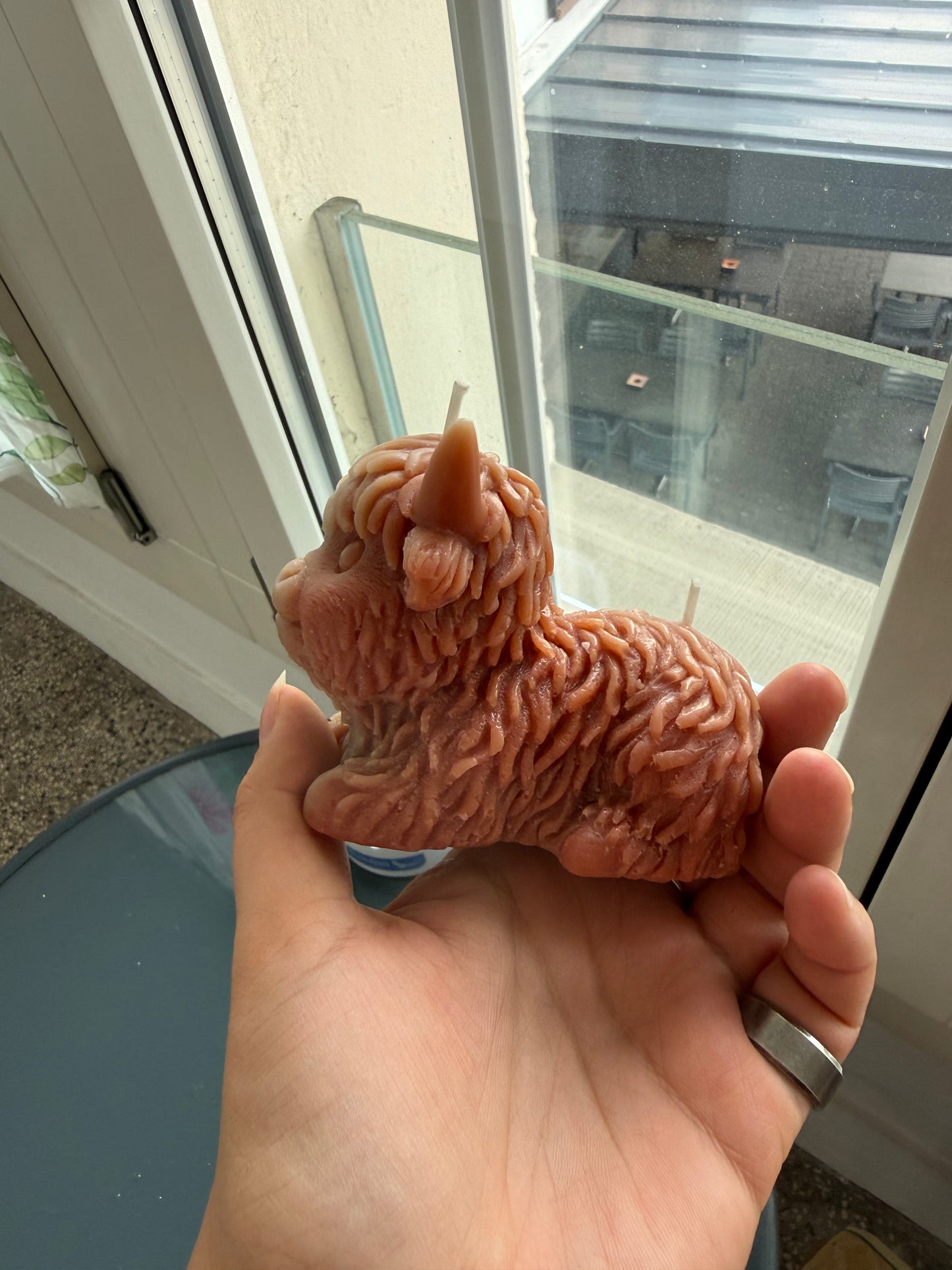 Highland Cow B-Ware