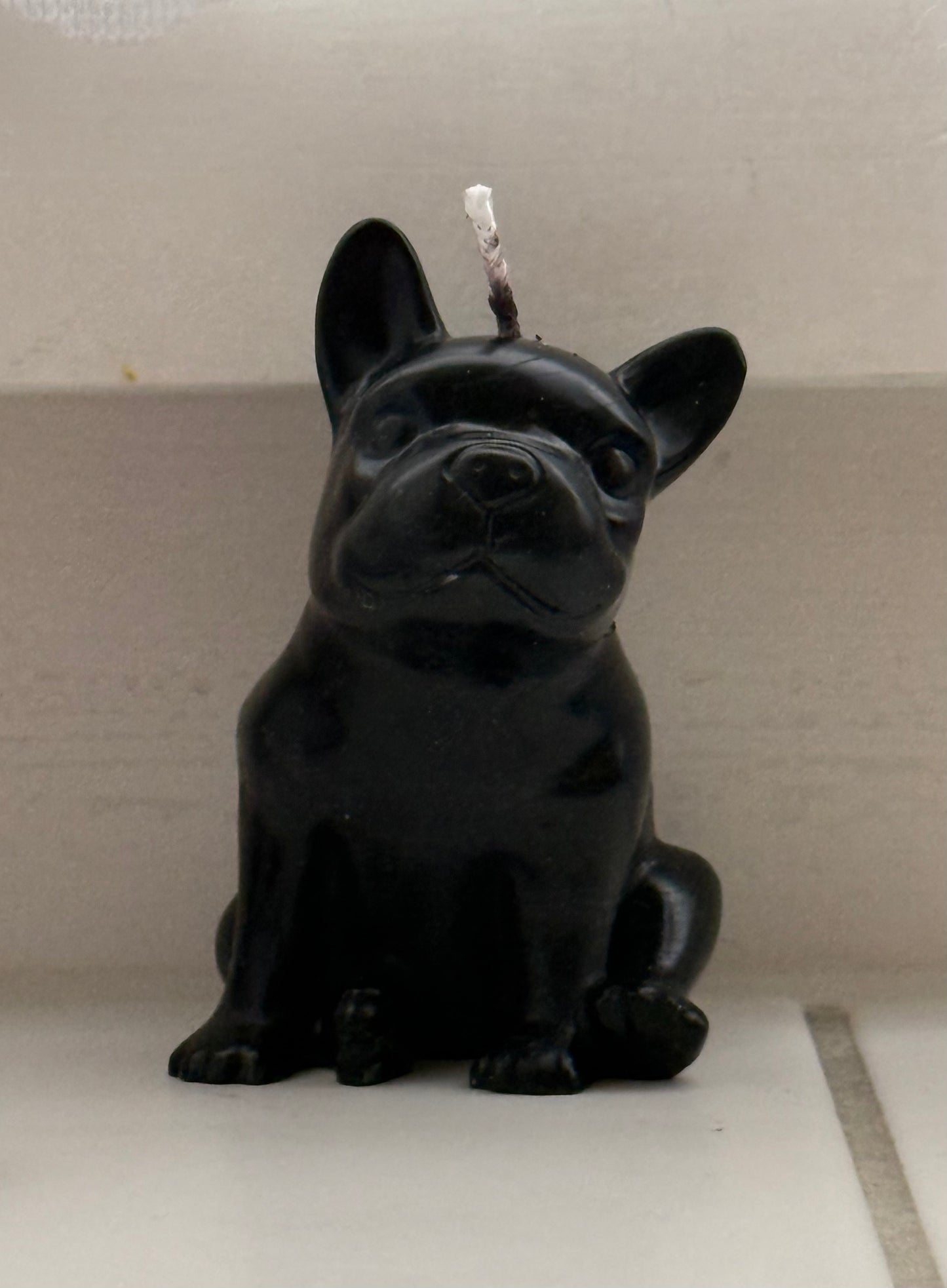 Frenchie Love