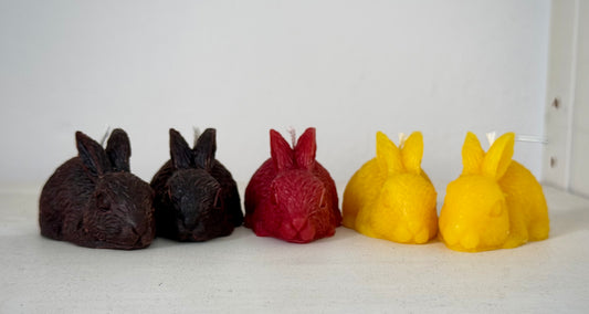 Hase