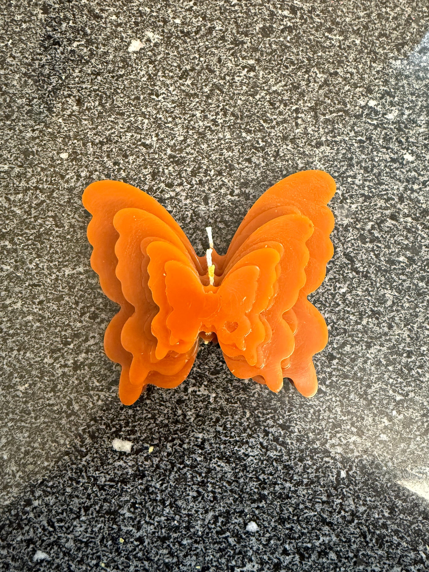 Velmora Butterfly