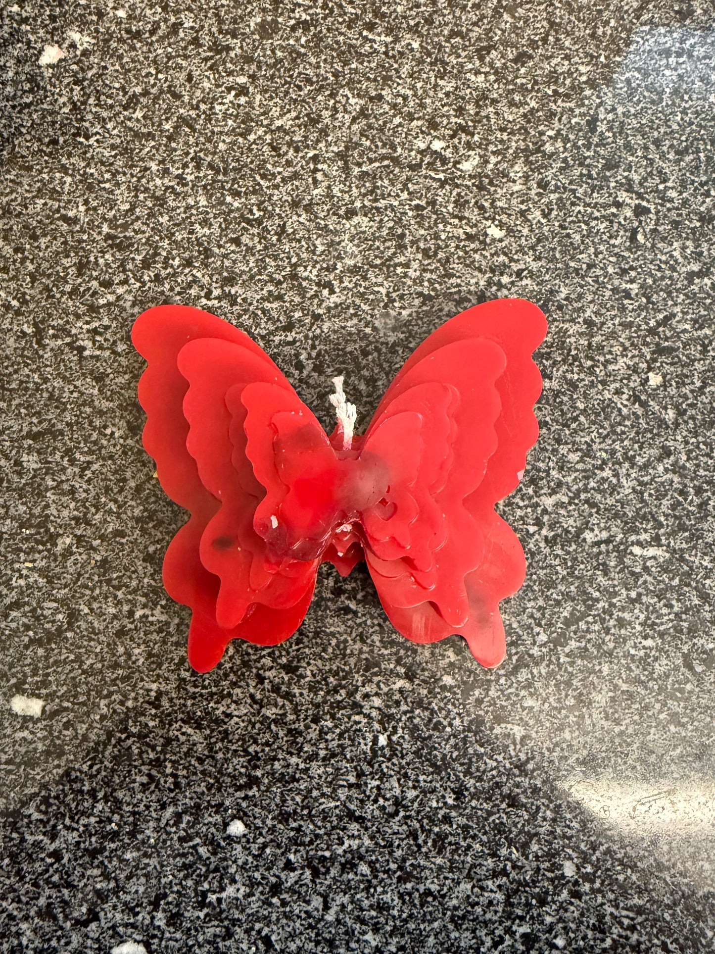 Velmora Butterfly
