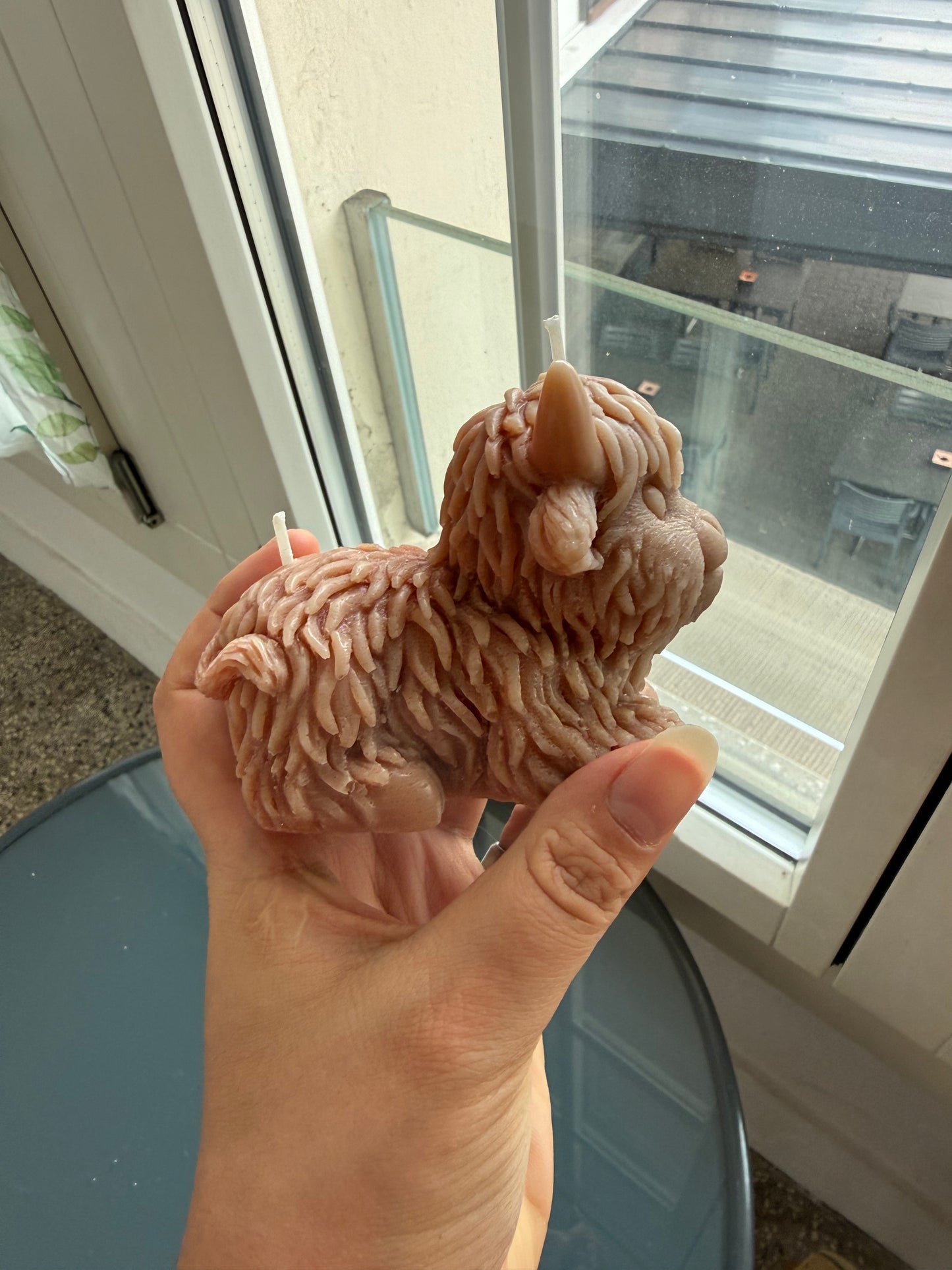 Highland Cow B-Ware